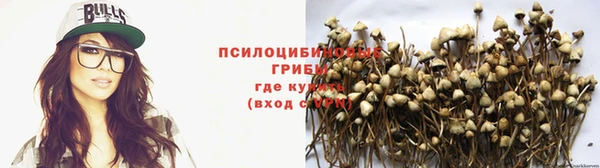 гидропоника Чекалин