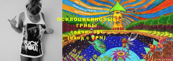 таблы Бородино