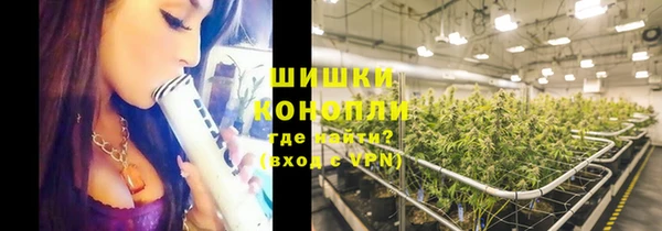 таблы Бородино